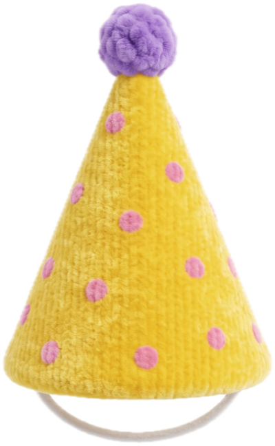 Party Hat for a Stuffy